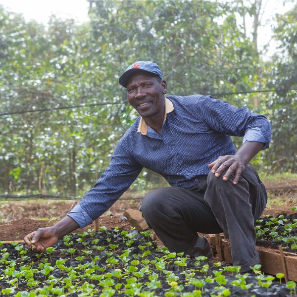 Coffee Farmer in Kenya Coffee Farmer in Kenya